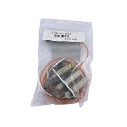 Lochinvar® 100165854 Pilot Assembly