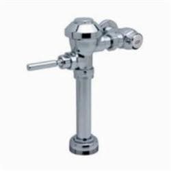 Zurn® AquaVantage AV® Z6000AV-HET Exposed Flush Valve, 1 in Inlet