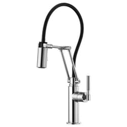 Articulating Kitchen Faucet Image